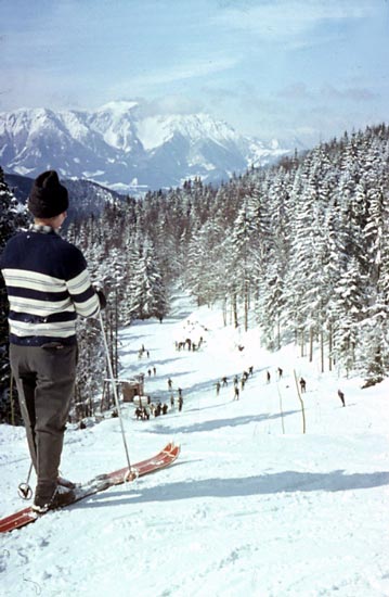 Hohe Wand, Blick auf den Schneeberg